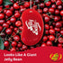 Jelly Belly Very Cherry 2D Bean-Shaped Hanging Air Freshener