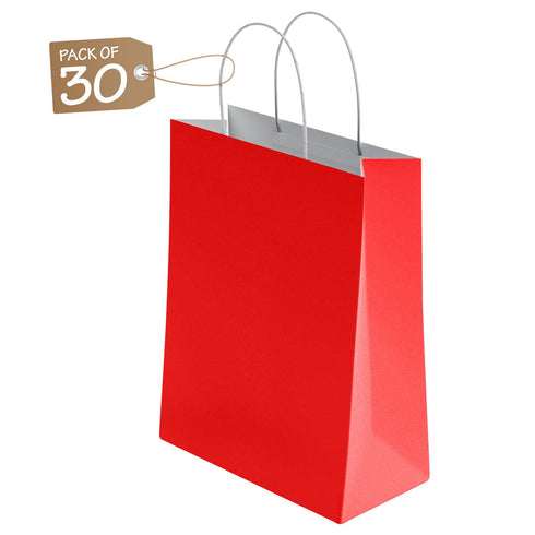 Kraft Paper Bags with Twisted Handle Colored Party Gift Bags Paper Carrier for Birthday 18x22x8cm - TradeNRG UK