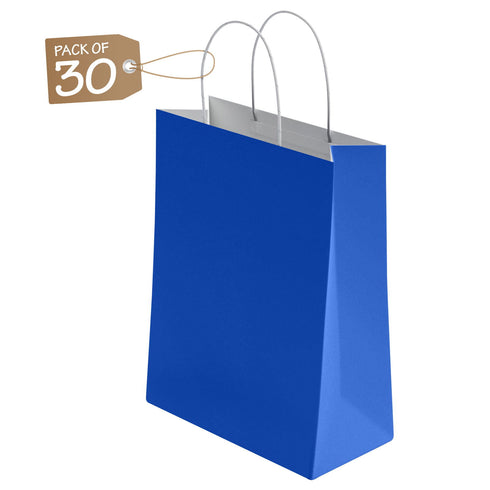 Kraft Paper Bags with Twisted Handle Colored Party Gift Bags Paper Carrier for Birthday 18x22x8cm - TradeNRG UK