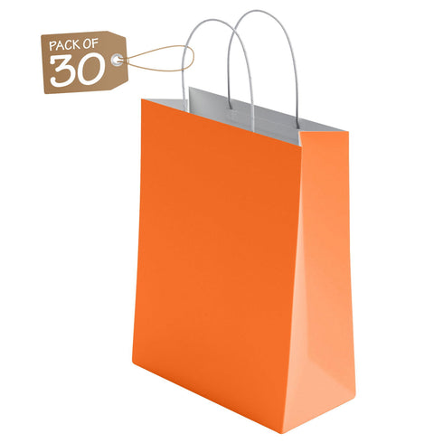 Kraft Paper Bags with Twisted Handle Colored Party Gift Bags Paper Carrier for Birthday 18x22x8cm - TradeNRG UK