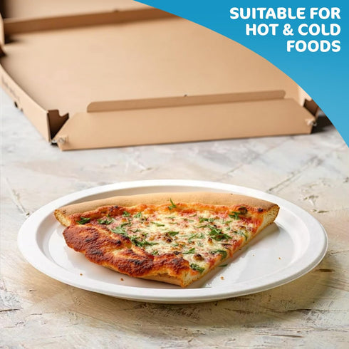 Disposable Paper Plate 10 Inch Heavy Duty Strong Bagasse Compostable Eco-Friendly Natural Sugarcane Fibers Round Plates for Hot & Cold Food Catering BirthdayDinner Party Office Picnic BBQs 100 Plates