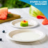 Disposable Paper Plate 10 Inch Heavy Duty Strong Bagasse Compostable Eco-Friendly Natural Sugarcane Fibers Round Plates for Hot & Cold Food Catering BirthdayDinner Party Office Picnic BBQs 100 Plates