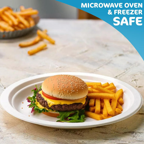 Disposable Paper Plate 10 Inch Heavy Duty Strong Bagasse Compostable Eco-Friendly Natural Sugarcane Fibers Round Plates for Hot & Cold Food Catering BirthdayDinner Party Office Picnic BBQs 150 Plates